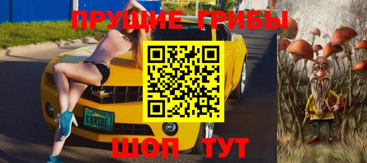 Златоуст  Галлюциногенные грибы Cubensis  Вход с VPN 
