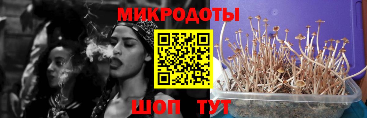 Галлюциногенные грибы мухоморы Златоуст